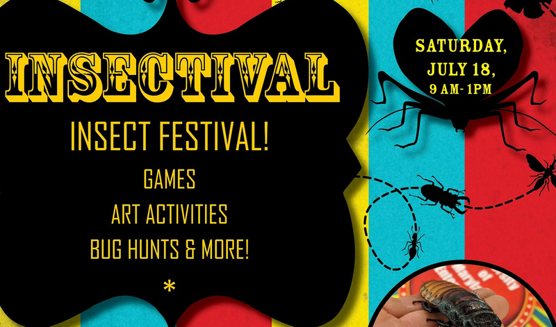 Insectival