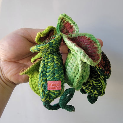 Nepenthes lowii crochet keychain